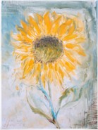 13 - Sonnenblume auf Grau, 40 x 30